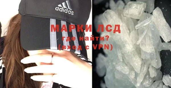 индика Арсеньев