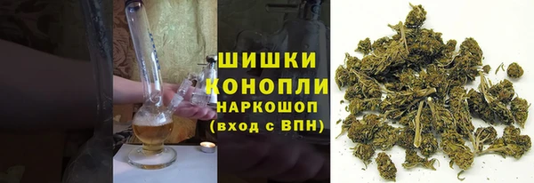 индика Арсеньев