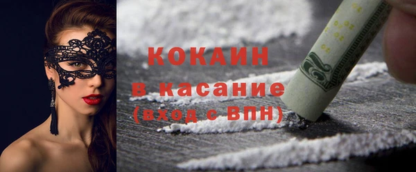 индика Арсеньев