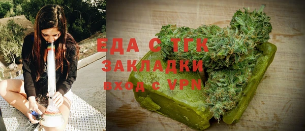 индика Арсеньев