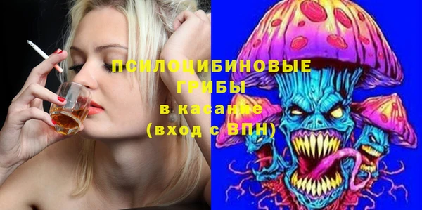 индика Арсеньев