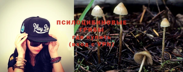 стафф Аркадак