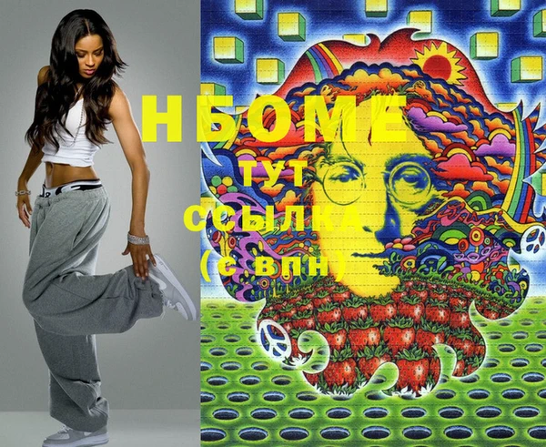 индика Арсеньев